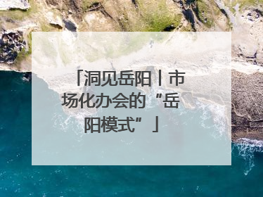 洞见岳阳丨市场化办会的“岳阳模式”