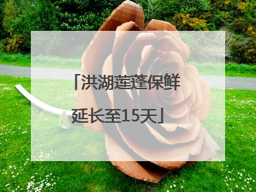 洪湖莲蓬保鲜延长至15天