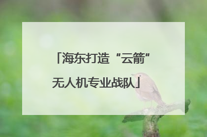 海东打造“云箭”无人机专业战队