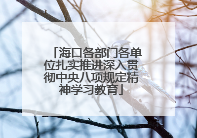海口各部门各单位扎实推进深入贯彻中央八项规定精神学习教育