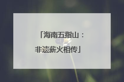 海南五指山：非遗薪火相传