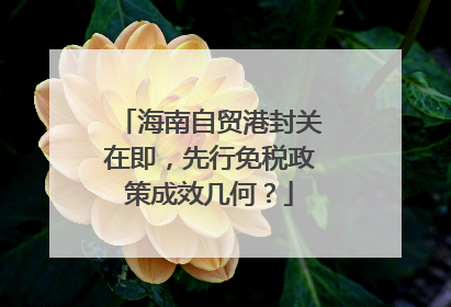 海南自贸港封关在即，先行免税政策成效几何？