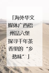 海外华文媒体广西梧州品六堡 探寻千年茶香里的“乡愁味”