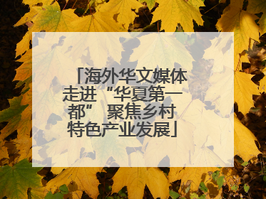 海外华文媒体走进“华夏第一都” 聚焦乡村特色产业发展