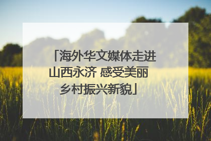 海外华文媒体走进山西永济 感受美丽乡村振兴新貌