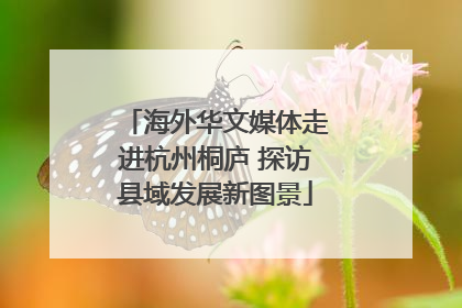 海外华文媒体走进杭州桐庐 探访县域发展新图景