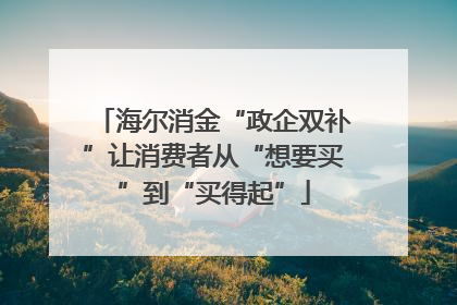 海尔消金“政企双补”让消费者从“想要买”到“买得起”