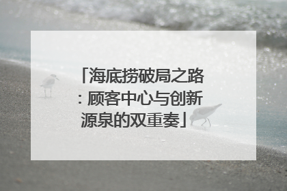 海底捞破局之路：顾客中心与创新源泉的双重奏