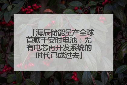海辰储能量产全球首款千安时电池：先有电芯再开发系统的时代已成过去