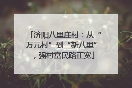 济阳八里庄村：从“万元村”到“新八里”，强村富民路正宽