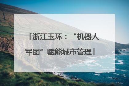 浙江玉环：“机器人军团”赋能城市管理