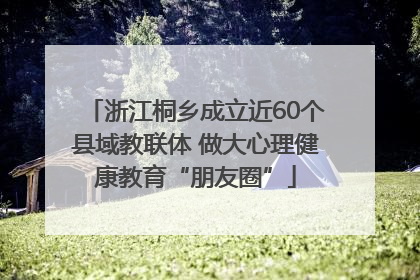 浙江桐乡成立近60个县域教联体 做大心理健康教育“朋友圈”