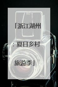 浙江湖州：夏日乡村旅游季