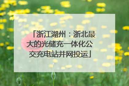 浙江湖州：浙北最大的光储充一体化公交充电站并网投运