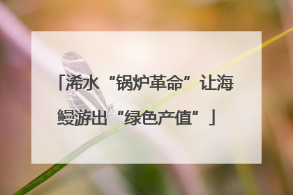浠水“锅炉革命”让海鳗游出“绿色产值”