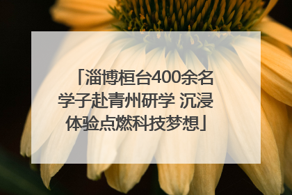 淄博桓台400余名学子赴青州研学 沉浸体验点燃科技梦想