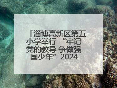 淄博高新区第五小学举行 “牢记党的教导 争做强国少年”2024级分批入队仪式