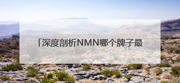 深度剖析NMN哪个牌子最好，2025年十大NMN品牌排行，NMN该怎么选