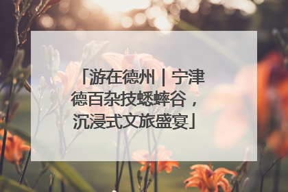 游在德州｜宁津德百杂技蟋蟀谷，沉浸式文旅盛宴