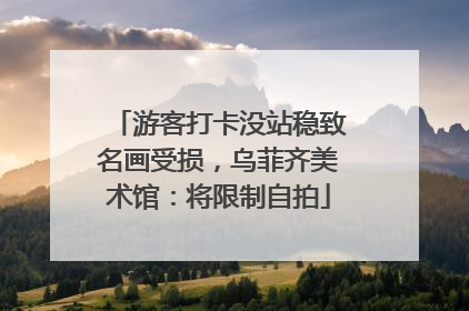 游客打卡没站稳致名画受损，乌菲齐美术馆：将限制自拍
