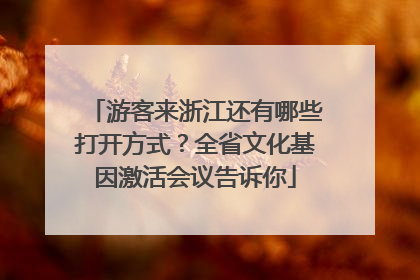 游客来浙江还有哪些打开方式？全省文化基因激活会议告诉你