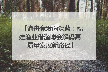 渔舟竞发向深蓝：福建渔业借渔博会解码高质量发展新路径