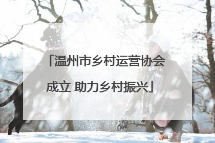温州市乡村运营协会成立 助力乡村振兴