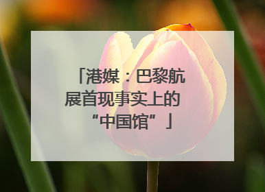 港媒：巴黎航展首现事实上的“中国馆”