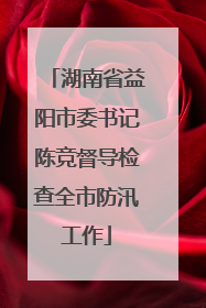 湖南省益阳市委书记陈竞督导检查全市防汛工作