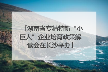 湖南省专精特新“小巨人”企业培育政策解读会在长沙举办