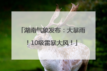 湖南气象发布：大暴雨！10级雷暴大风！
