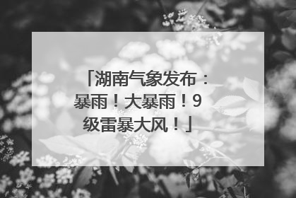 湖南气象发布：暴雨！大暴雨！9级雷暴大风！