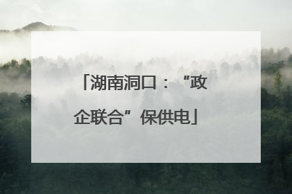 湖南洞口：“政企联合”保供电