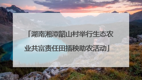 湖南湘潭韶山村举行生态农业共富责任田插秧助农活动