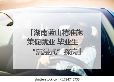 湖南蓝山精准施策促就业 毕业生“沉浸式”探岗