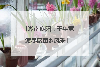 湖南麻阳：千年竞渡尽展苗乡风采