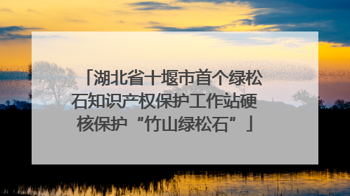湖北省十堰市首个绿松石知识产权保护工作站硬核保护“竹山绿松石”