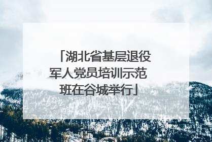 湖北省基层退役军人党员培训示范班在谷城举行