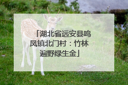 湖北省远安县鸣凤镇北门村：竹林遍野绿生金