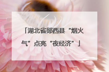 湖北省郧西县“烟火气”点亮“夜经济”