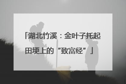 湖北竹溪：金叶子托起田埂上的“致富经”