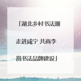 湖北乡村书法潮走进咸宁 共商李邕书法品牌建设