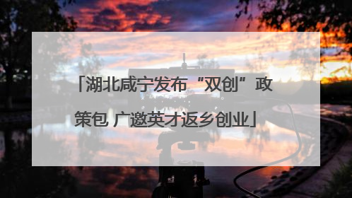 湖北咸宁发布“双创”政策包 广邀英才返乡创业