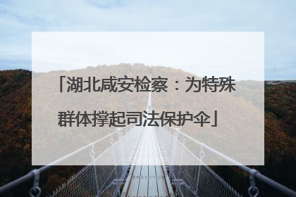 湖北咸安检察：为特殊群体撑起司法保护伞