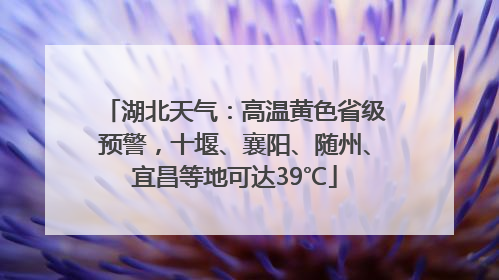 湖北天气：高温黄色省级预警，十堰、襄阳、随州、宜昌等地可达39℃