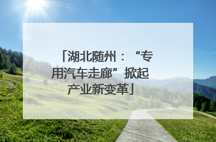 湖北随州：“专用汽车走廊”掀起产业新变革