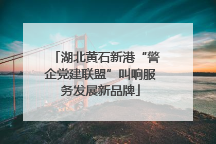 湖北黄石新港“警企党建联盟”叫响服务发展新品牌