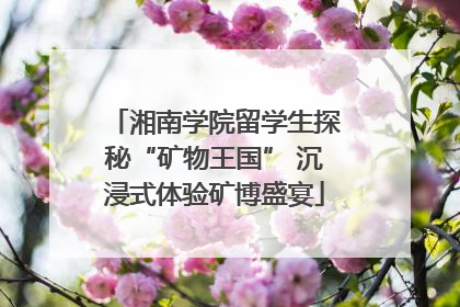 湘南学院留学生探秘“矿物王国” 沉浸式体验矿博盛宴