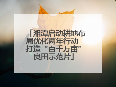 湘潭启动耕地布局优化两年行动 打造“百千万亩”良田示范片