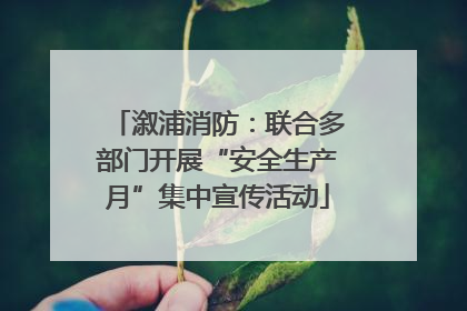 溆浦消防：联合多部门开展“安全生产月”集中宣传活动